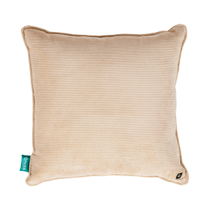 Qord | Antique White 10K